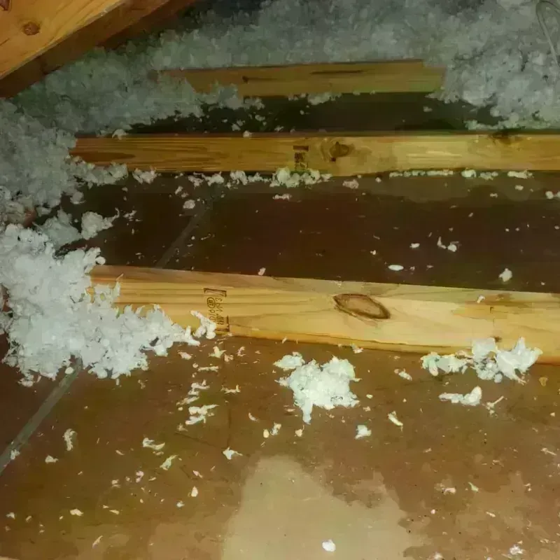 Attic Water Damage in Santa Fe, TX