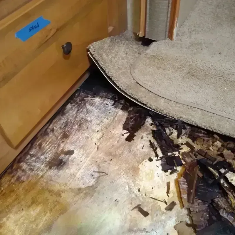 Wood Floor Water Damage in Santa Fe, TX